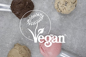 Vegan Ice Creams